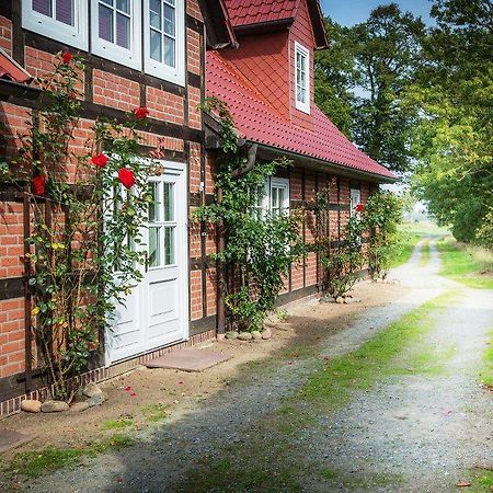 Landhaus Elbeflair Apartment Bei Doemitz Lenzerwische ภายนอก รูปภาพ