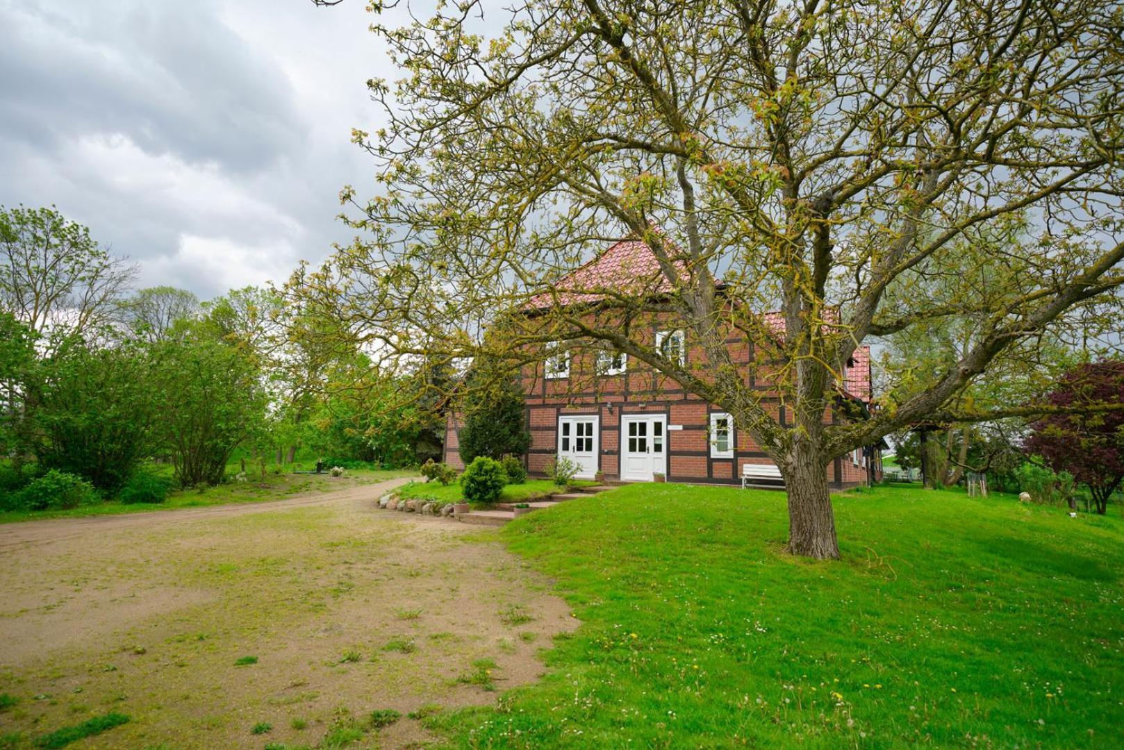 Landhaus Elbeflair Apartment Bei Doemitz Lenzerwische ภายนอก รูปภาพ