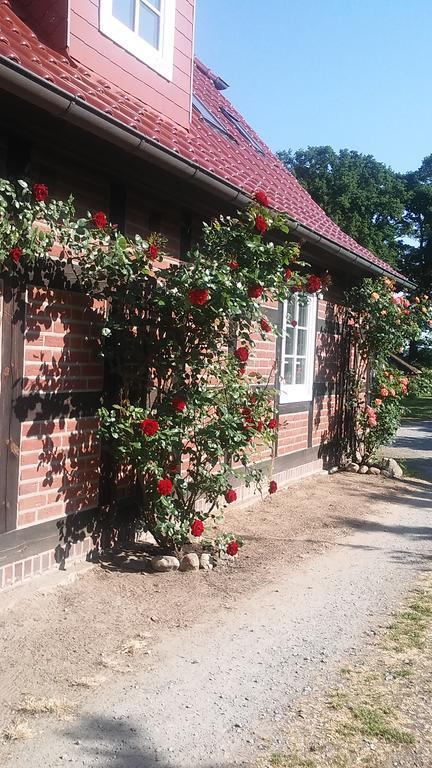 Landhaus Elbeflair Apartment Bei Doemitz Lenzerwische ภายนอก รูปภาพ